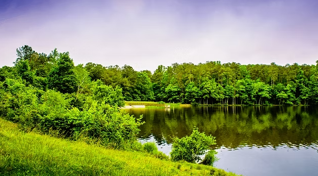 VIDARBHA